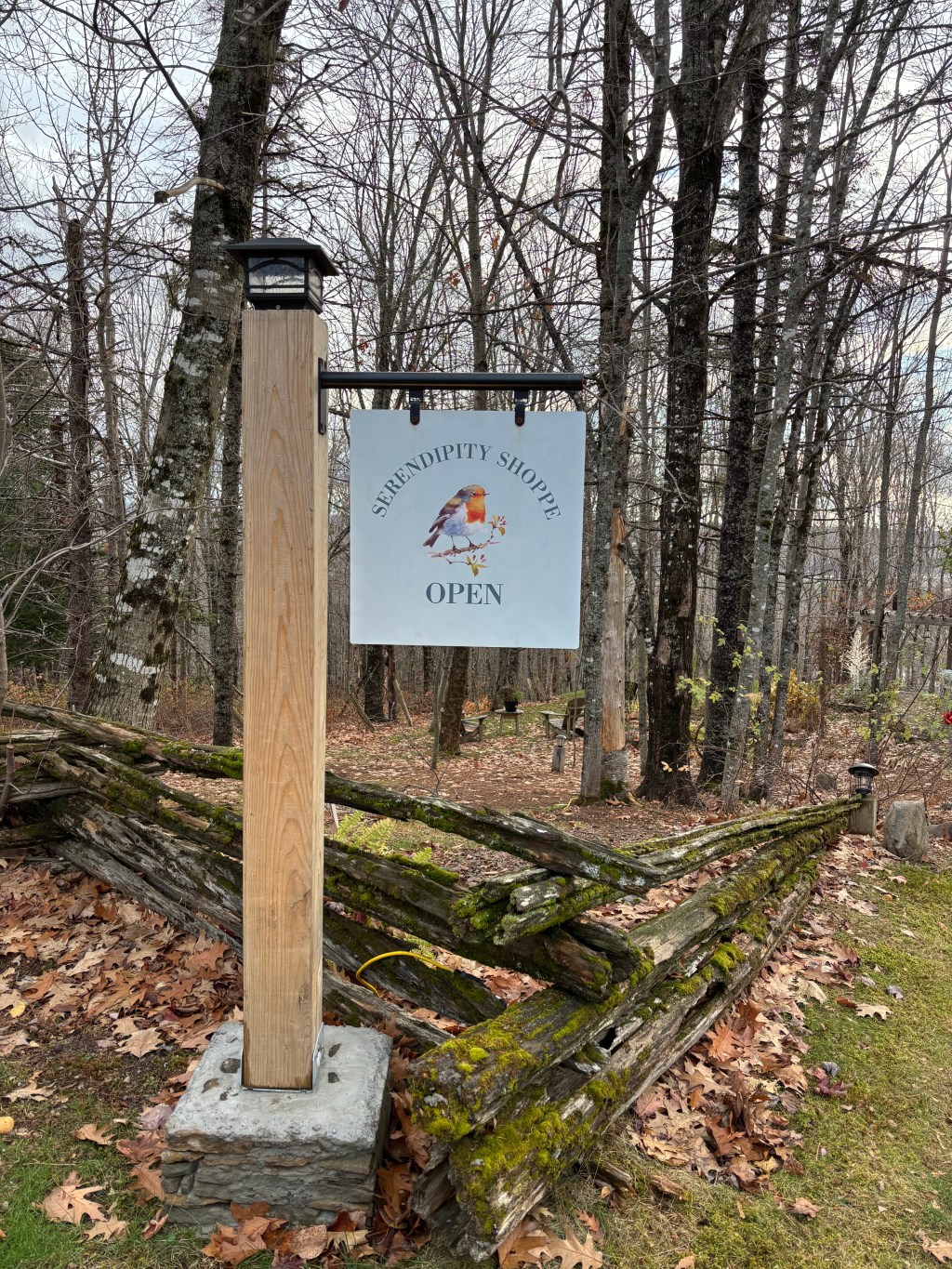 A Cozy Holiday Stop at Serendipity Shoppe in Douglas, New&nbsp;Brunswick